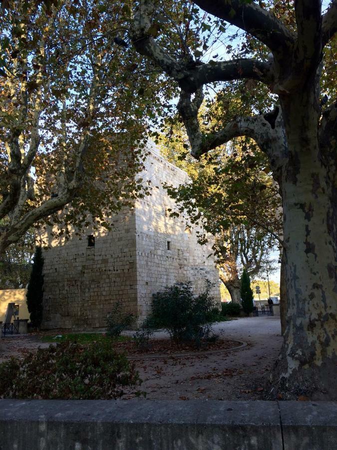 Villa La Maison De Lara Arles Exterior foto